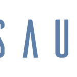Sauber LT